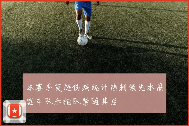 本赛季英超伤病统计热刺领先水晶宫车队和枪队紧随其后
