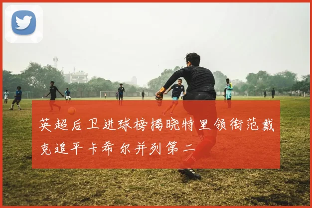 英超后卫进球榜揭晓特里领衔范戴克追平卡希尔并列第二