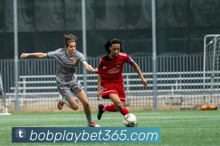 bob体育APP 封面图